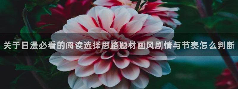 51漫画免费阅读网站